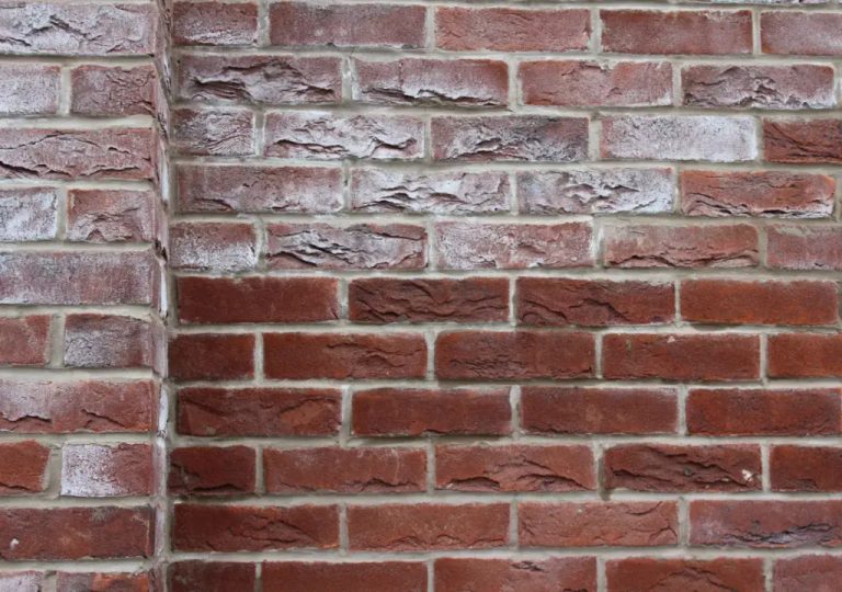 علت شوره زدن آجر سفال